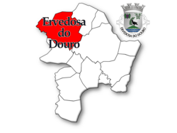 SJ Pesqueira 04